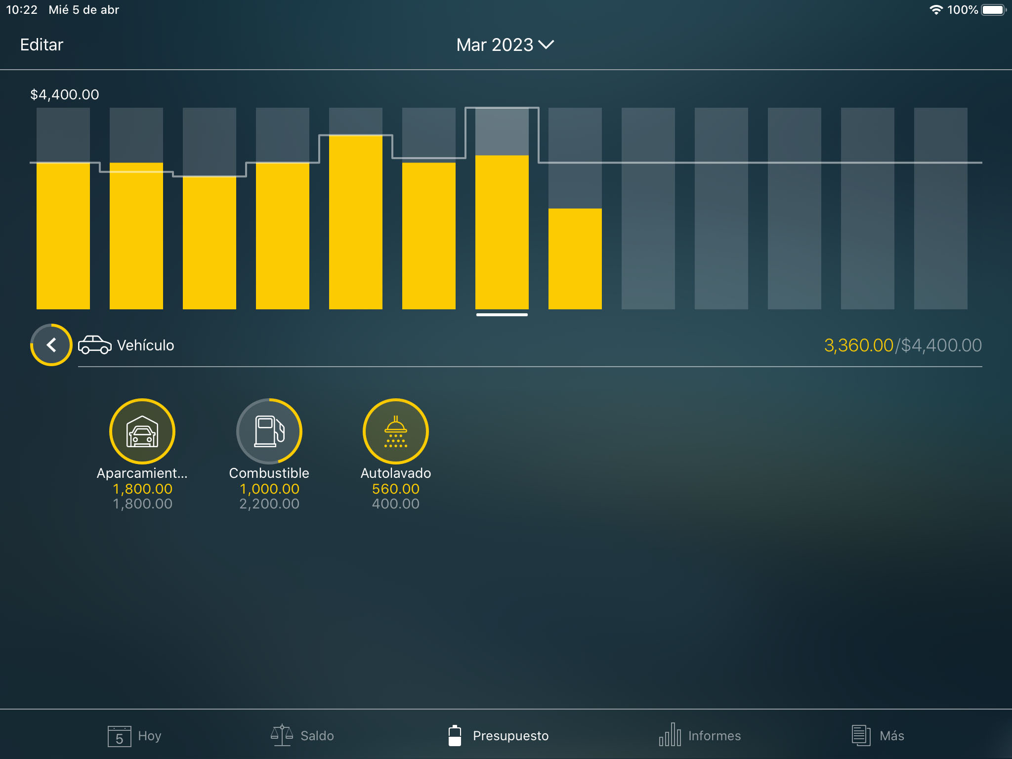 Money Tracker - Categorias, subcategorias - iPad