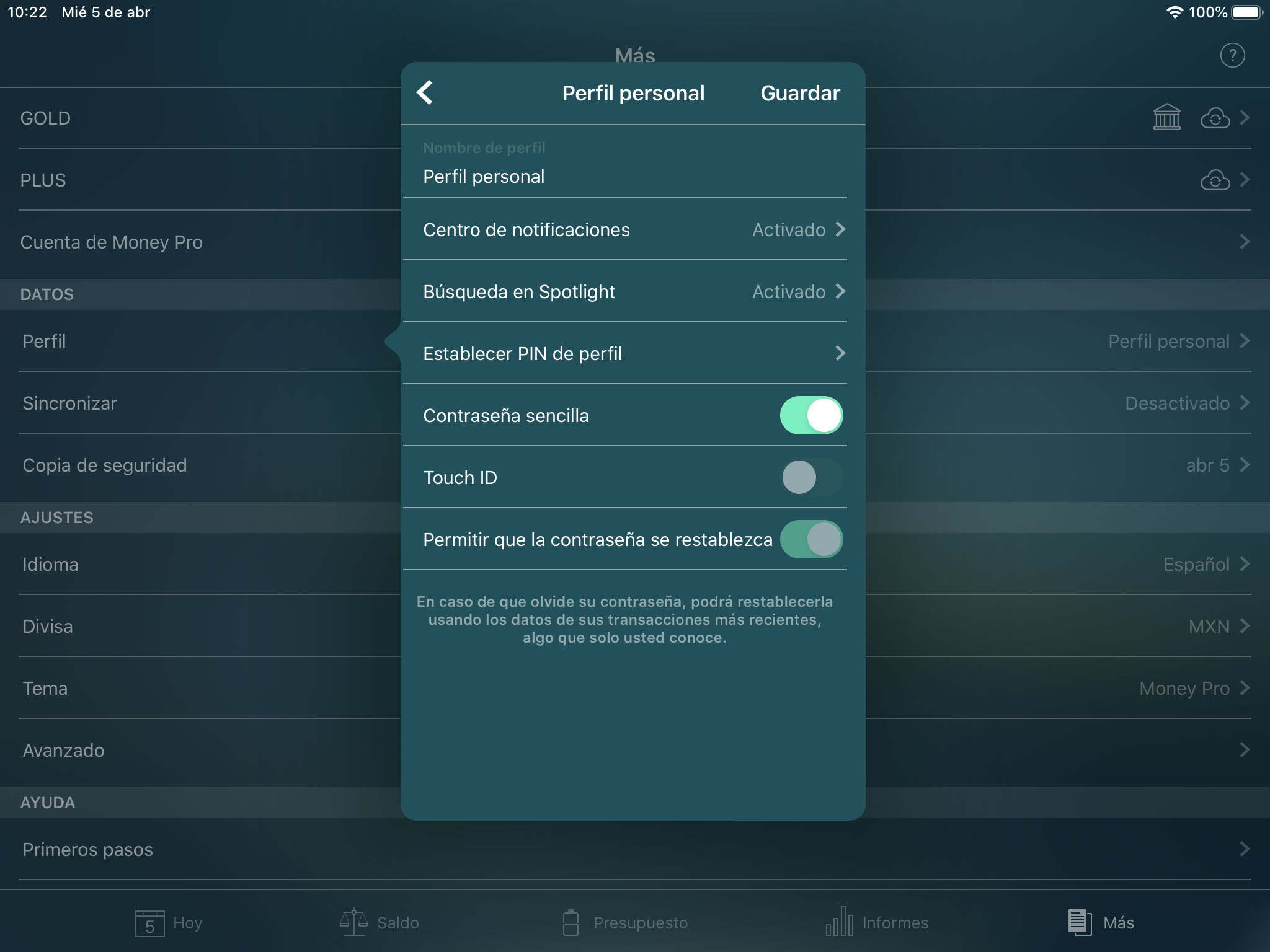 Money Tracker - Password de proteccion - iPad