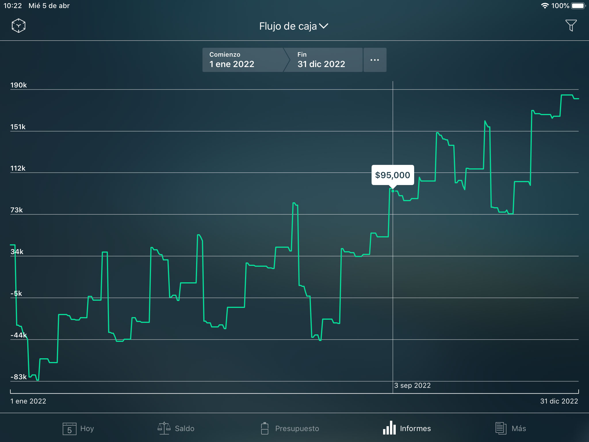 Money Tracker - Informe de Cash flow (Flujo de caja) - iPad