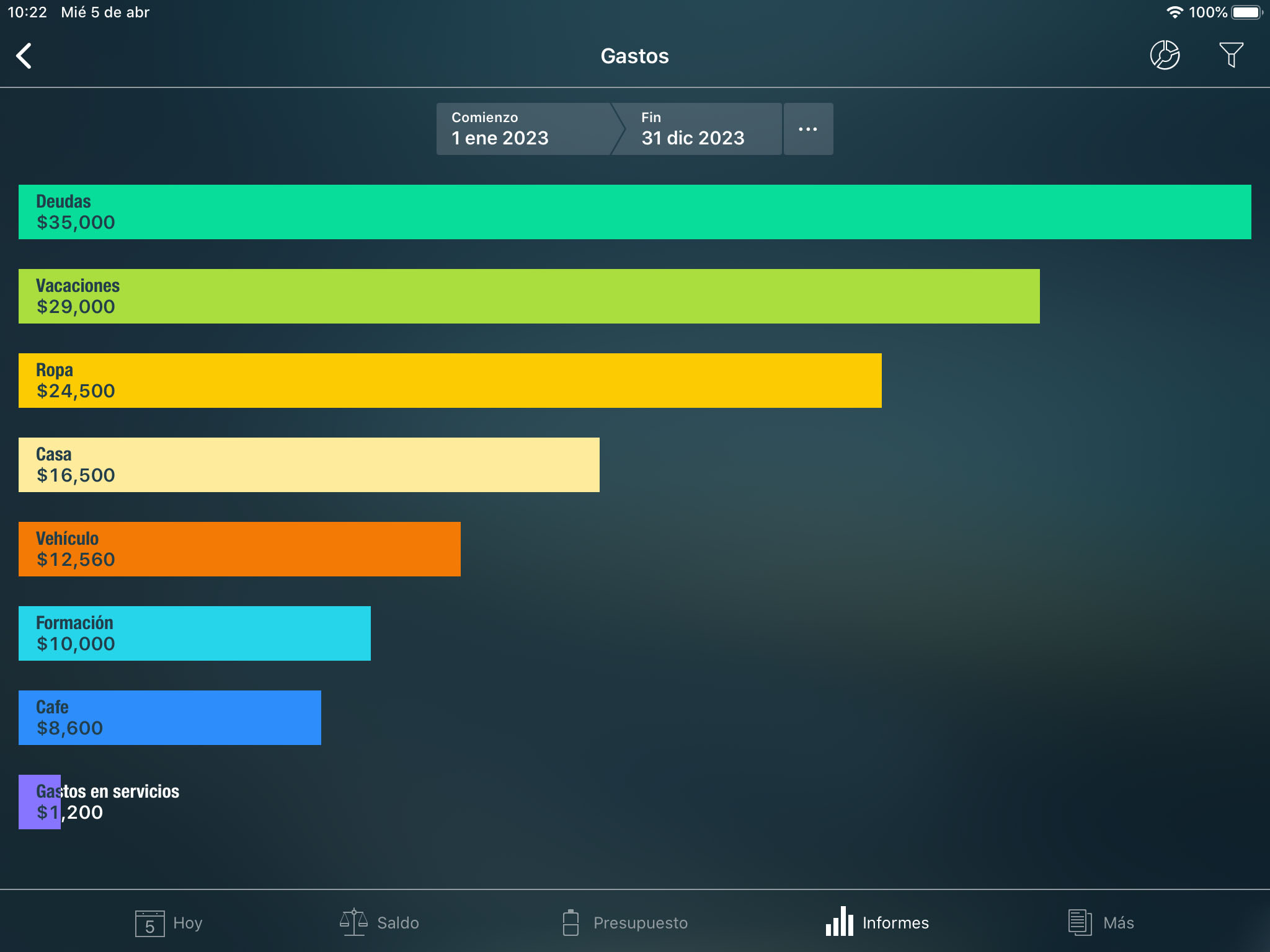 Money Tracker - Informe de Ingresos / Gastos - iPad