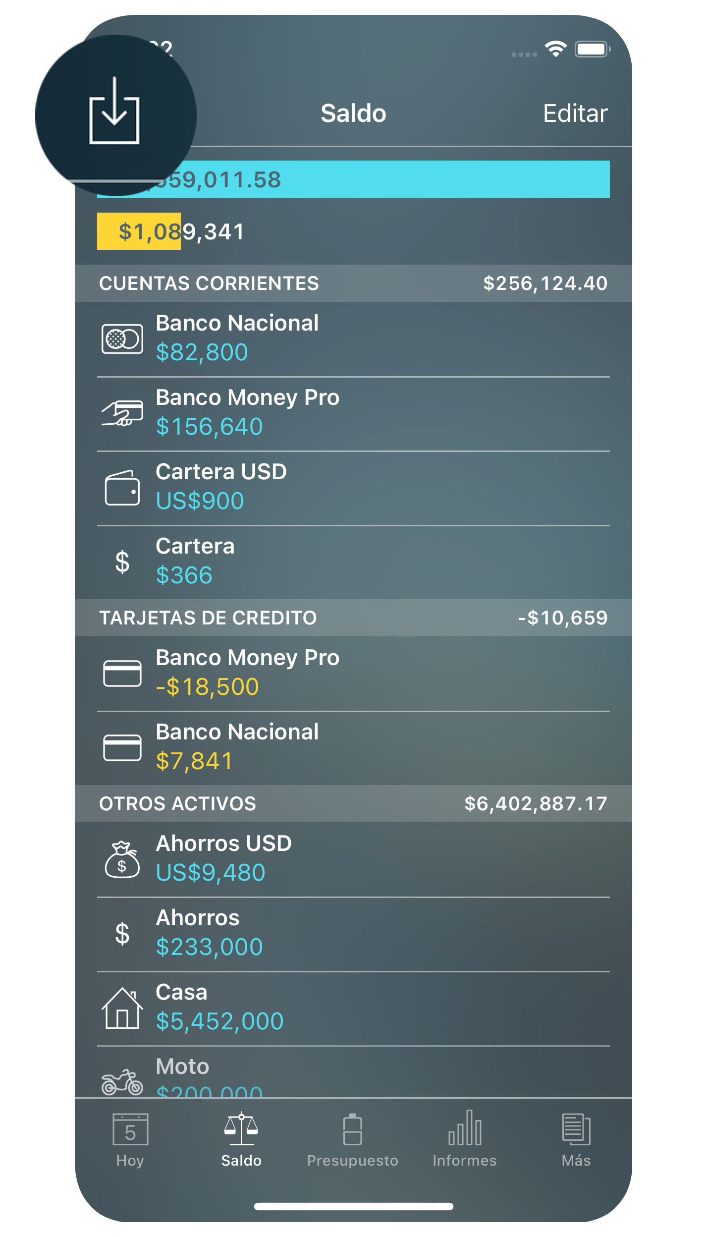 Money Tracker - Importar OFX y CSV - iPhone