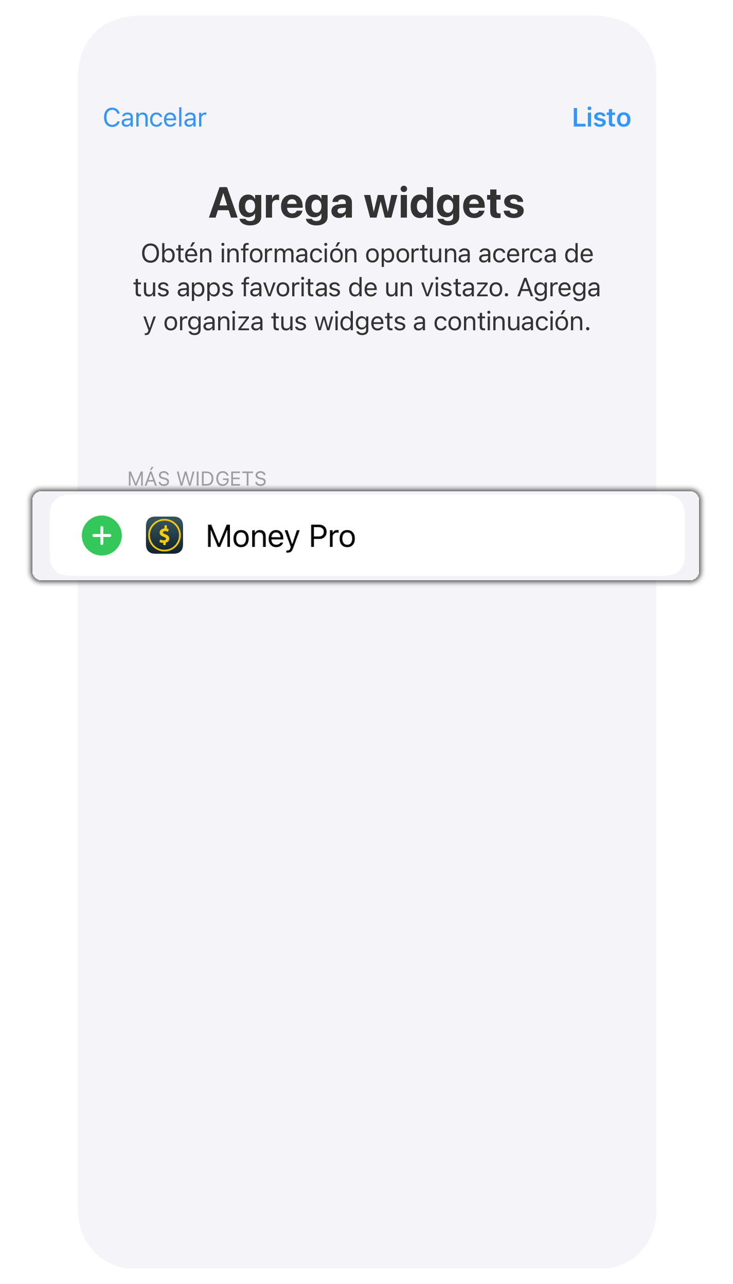 Money Tracker - Widget del día actual - iPhone