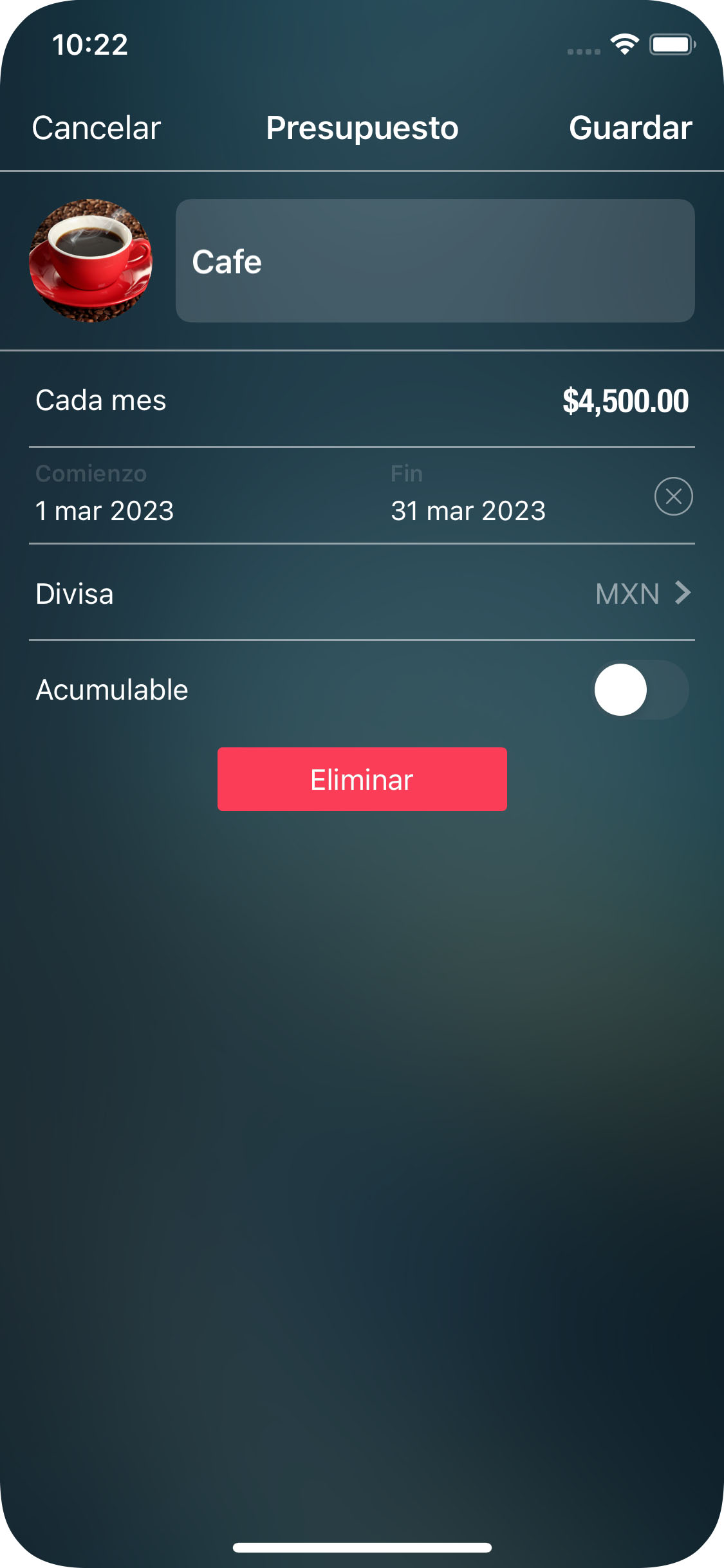 Money Tracker - La creación de un Presupuesto - iPhone