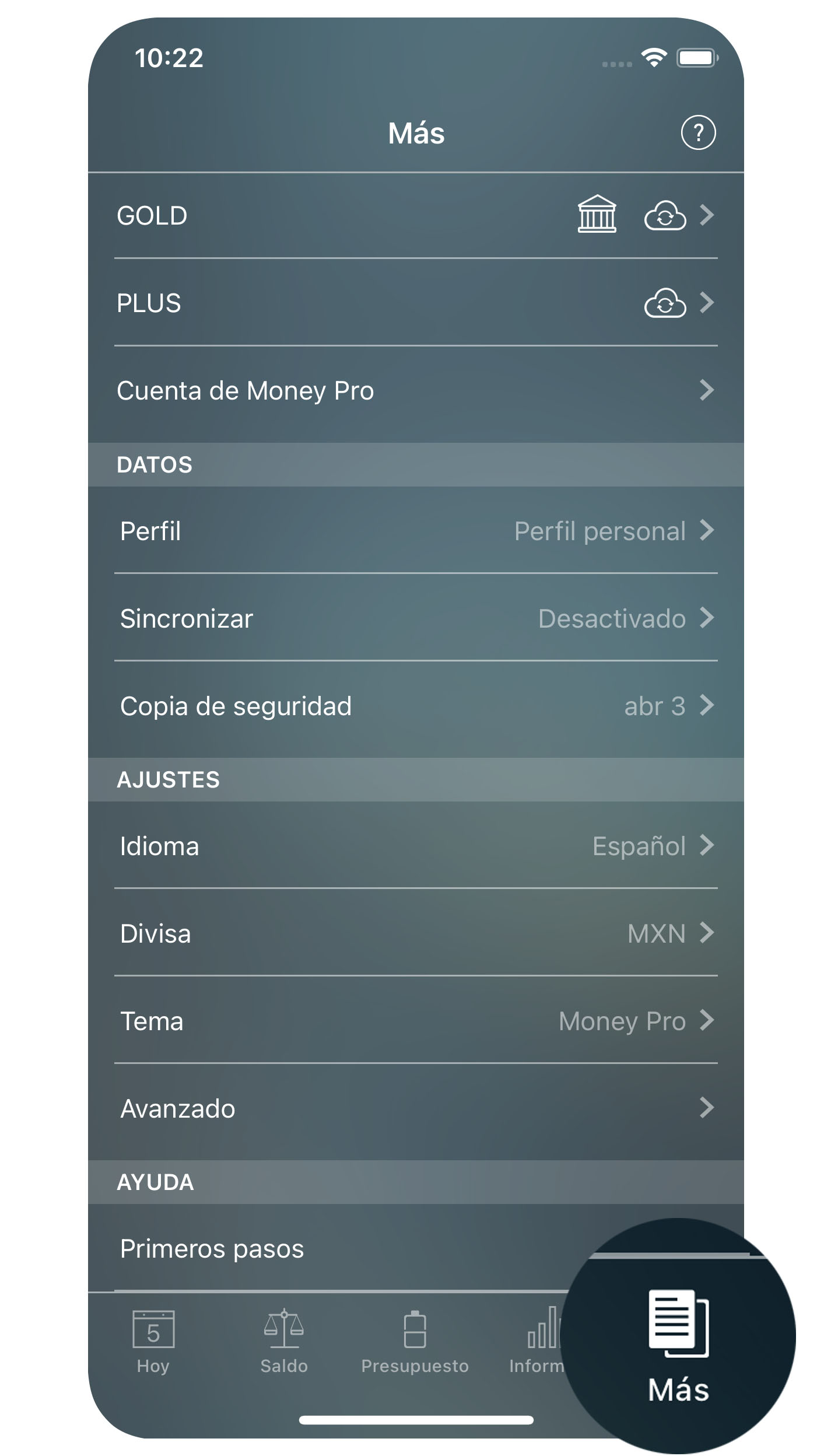 Money Tracker - Mas (Backup, Perfiles, Sincronizar) - iPhone