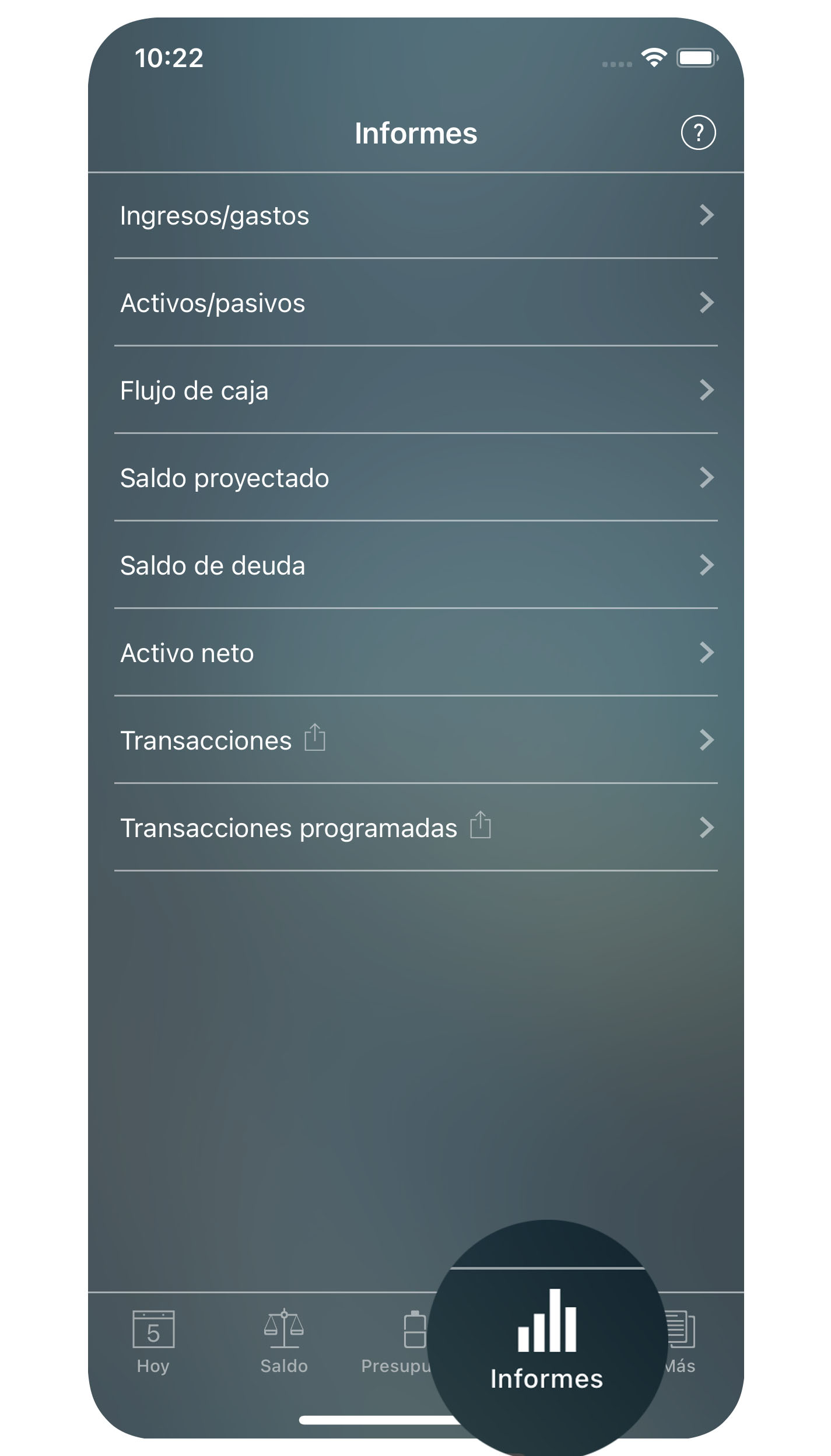 Money Tracker - Informes - iPhone