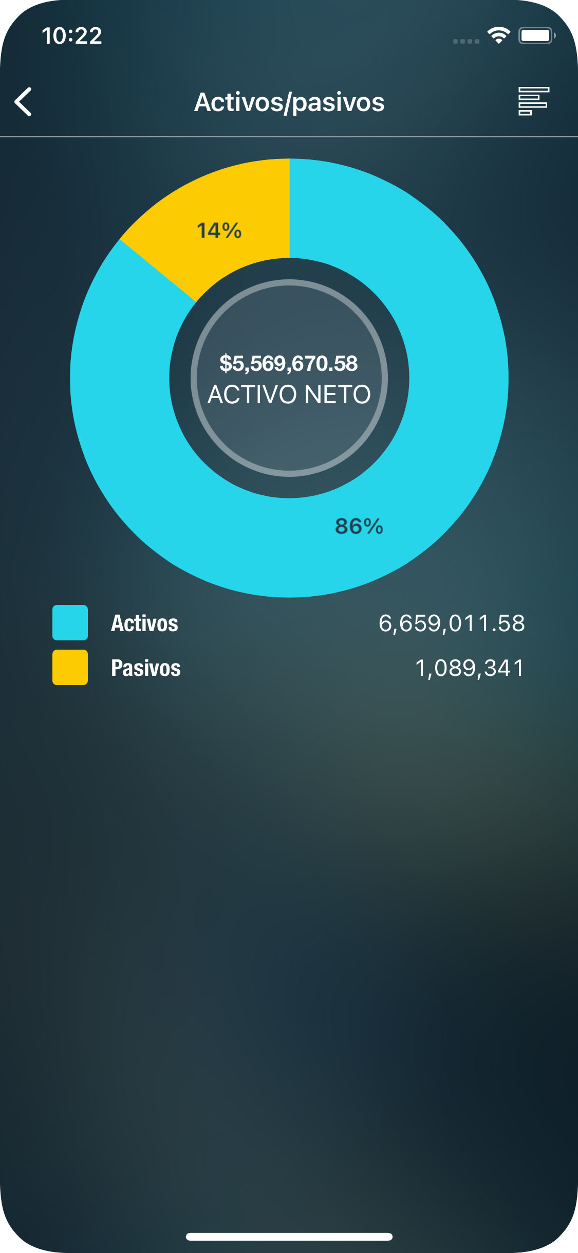 Money Tracker - Informe de Activos y Pasivos - iPhone