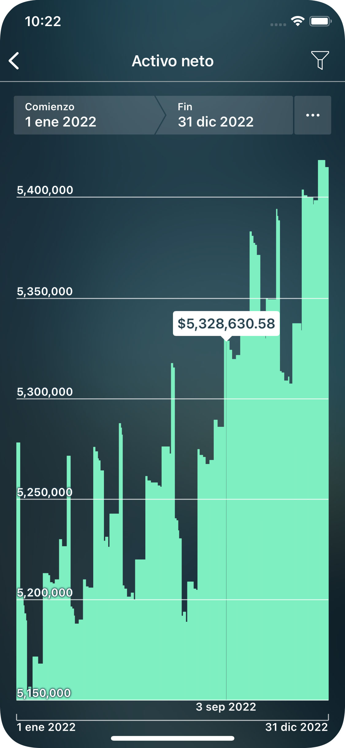 Money Tracker - Informe Activo neto - iPhone