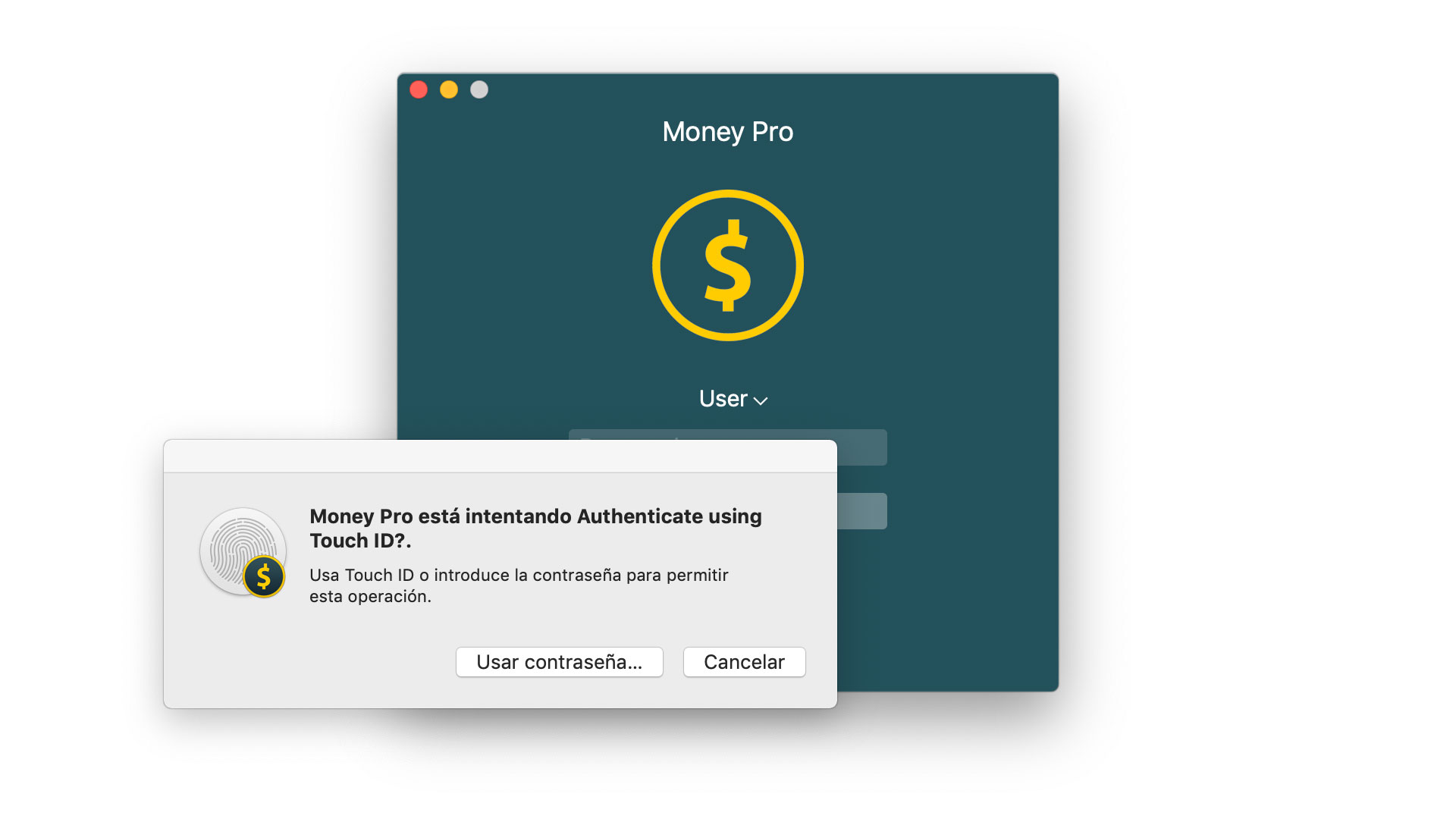 Money Tracker - Touch ID (Face ID) - Mac
